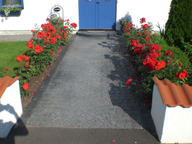 Entrée med Platsgjuten markbetong och blommor